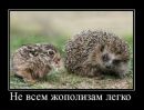 Фотография Суворовой Елены