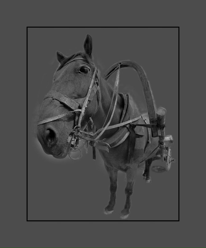 Mark Maisner фотография #26