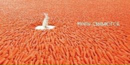 Віра Кустреюк фотография #13 (источник - https://vk.com/id162476860)