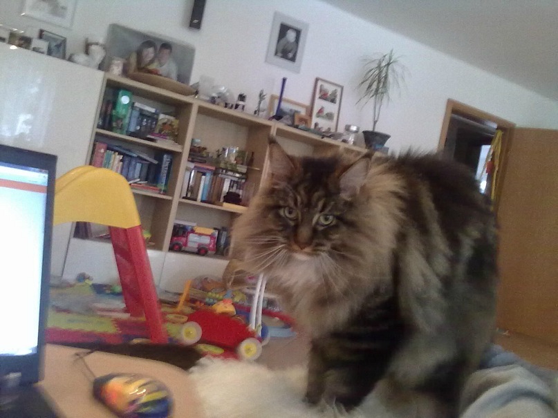 Федор Просто фотография #10