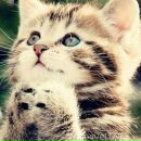 Фотография Пузиковой Оли