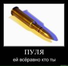 Дима Никитин фотография #18 (источник - https://vk.com/id22947683)