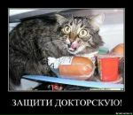 Вадим Арістов фотография #18 (источник - https://vk.com/id6874585)