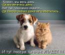 Фотография Панченко Марии