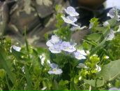 Дмитро Сімак фотография #39 (источник - https://vk.com/id1760320)