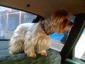 Фотография Cosmetolog-Samui Neva-Neolin