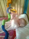 Ліза Файк фотография #45 (источник - https://vk.com/id162709823)