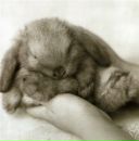 Фотография Алешиной Юли