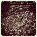 Erkal Can фотография #1