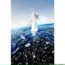 Фотография Громова Михаила