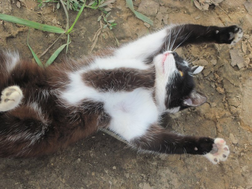 Наталья Гринёва фотография #17