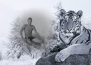 Фотография Шимана Гены