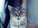 Діма Плановий фотография #21 (источник - https://vk.com/id157058684)
