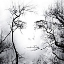 Фотография Мясо Ромы