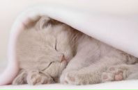 Фотография Собиной Люсии