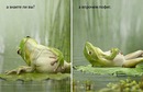 Лєна Курчій фотография #50 (источник - https://vk.com/id139377254)