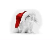 Фотография Потапова Николая