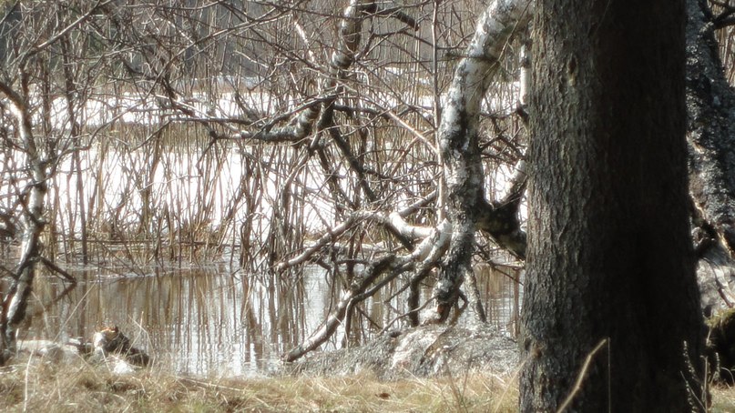 Сергей Рылов фотография #15