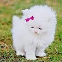 Марія Базилевичкапланська фотография #1