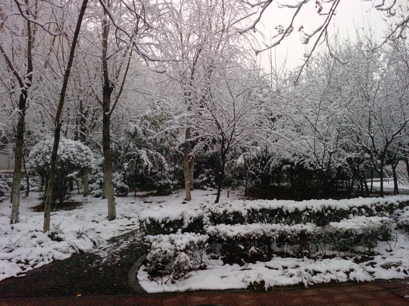 Jin Wei фотография #20