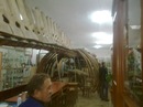 Іван Юзифович фотография #30 (источник - https://vk.com/id121721138)