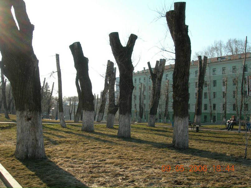 Cheatcode Hunter фотография #35