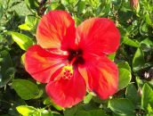 Фотография Архиповой Нонны