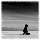 Фотография Шаймардановой Дины