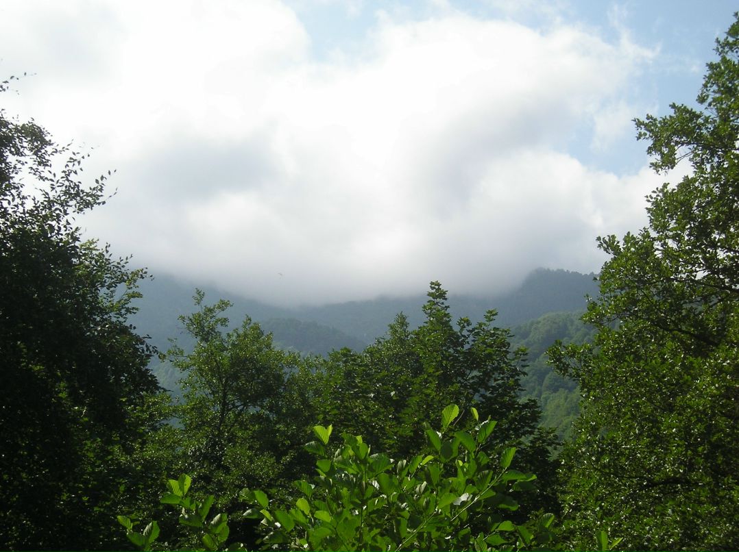 Николай Крючков фотография #43