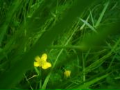 Sedat Süner фотография #19 (источник - https://vk.com/id118655973)