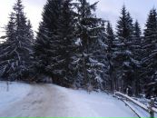 Рома Стасік фотография #36 (источник - https://vk.com/id56516916)