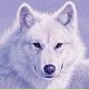 Фотография Галактики Лены