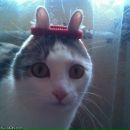 Фотография Petrovich Odin