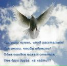 Андрій Ткачук фотография #13 (источник - https://vk.com/id138808178)