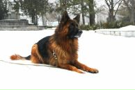 Фотография Витя Slix