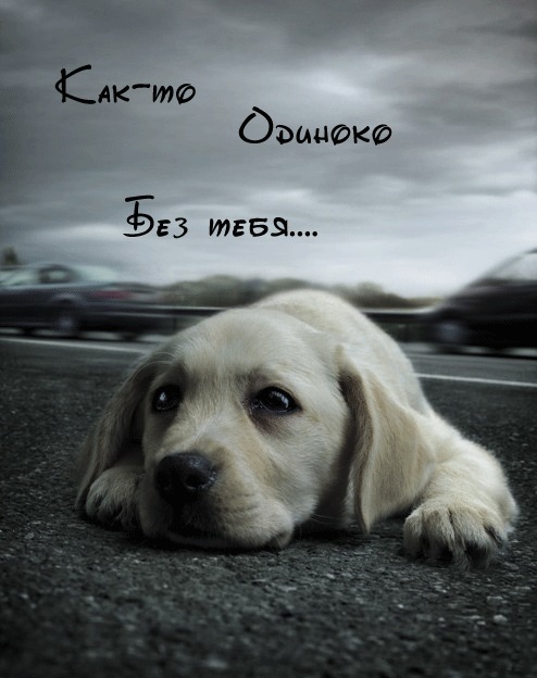 Андрей Фёклин фотография #42