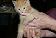 Фотография Матвеевой Елены