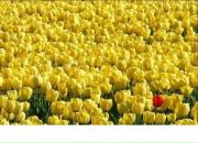 Фотография Мальшуковой Натальи