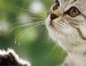 Ольчік Позетіффф фотография #4 (источник - https://vk.com/id33643448)