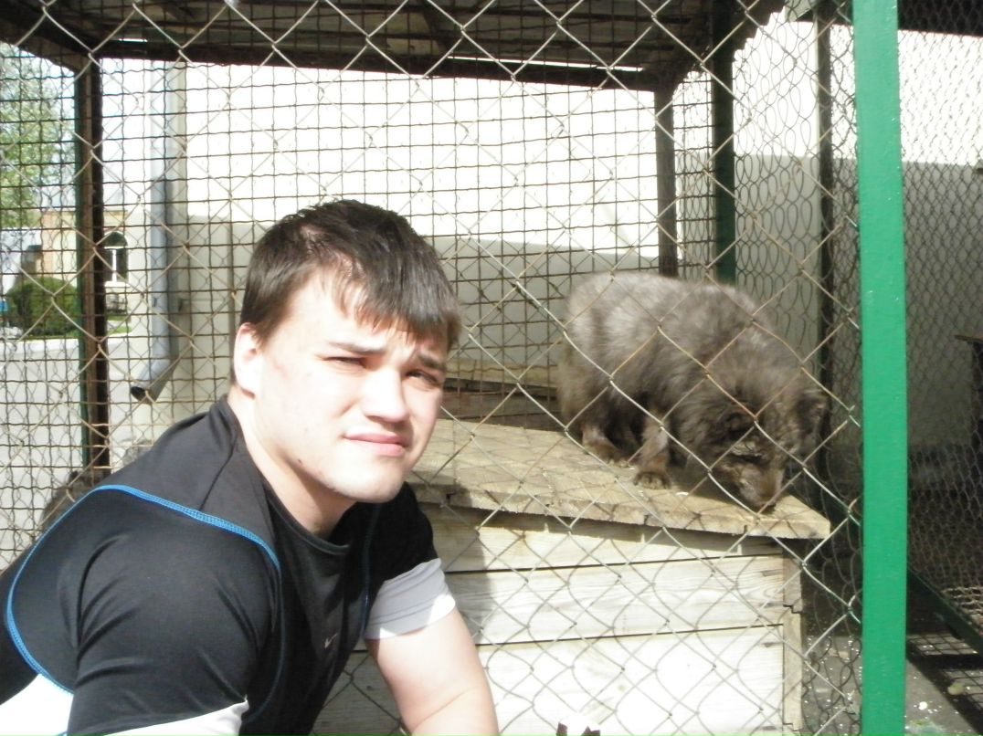 Александр Сысуев фотография #10