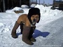 Вадім Бойко фотография #19 (источник - https://vk.com/id131701605)