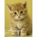 Юлік Кайтанович фотография #1