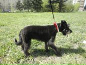 Фотография Осоченко Софии