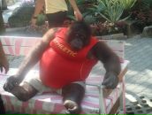 Фотография Стародубцевой Ирины