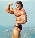 Arnold Schwarzenegger фотография #5 (источник - https://vk.com/id7532927)