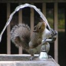 Maxim Maranciuc фотография #18 (источник - https://vk.com/id57343145)