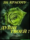 Юляська Карауш фотография #50 (источник - https://vk.com/id52006340)