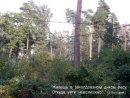 Валерій Гуменюк фотография #3 (источник - https://vk.com/id11054515)