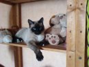 Яна Минакова фотография #38 (источник - https://vk.com/id10141522)