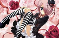 †kitty Sun† фотография #13 (источник - https://vk.com/id154616237)